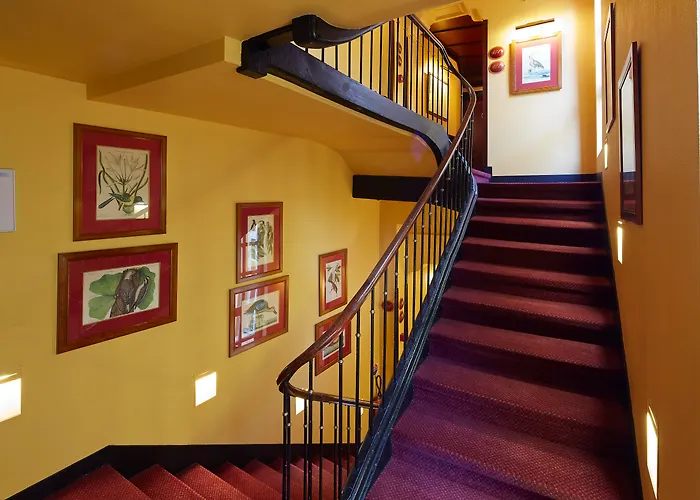 Grand De L'opera - Bw Premier Collection